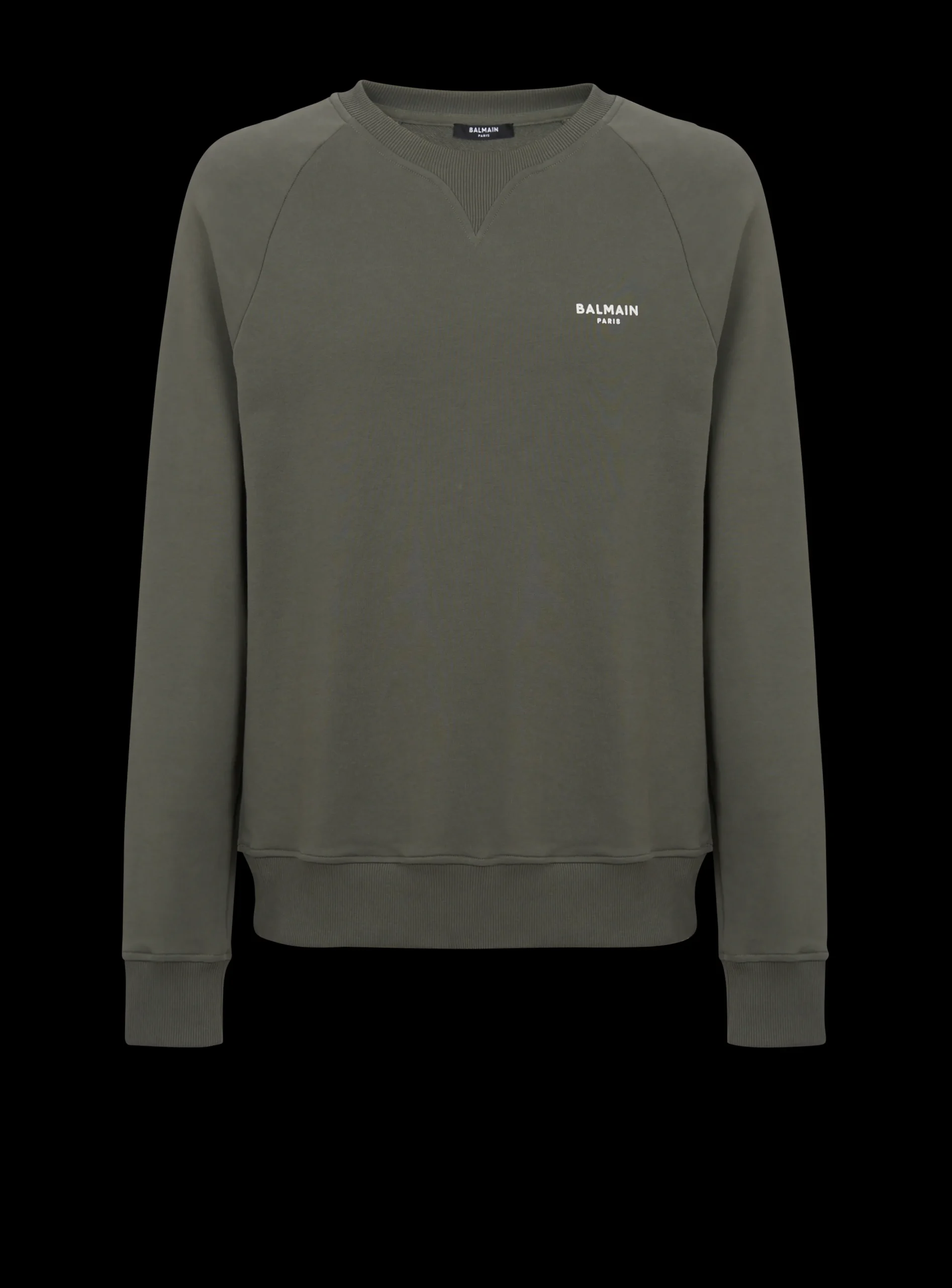 Balmain Paris Flocked Sweatshirt